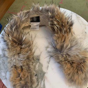 Bogner Coyote Fur Collar